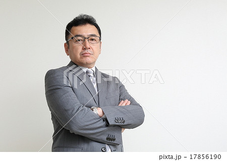 眼鏡をかけたシニアビジネスマン 眼鏡をかけたシニアビジネスマン 17856190