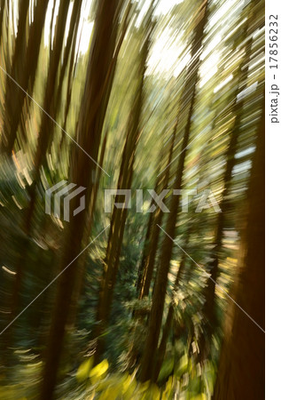 露光間ズーム 疾風イメージ 露光間ズーム 疾風イメージ 17856232