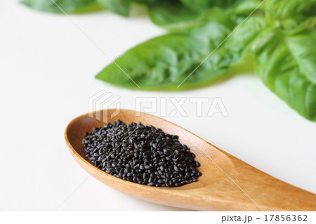 バジルシード バジルシード 17856362