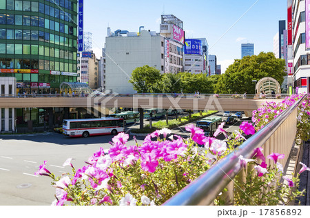 仙台駅とペディストリアンデッキ 17856892