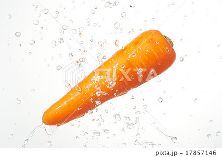 人参 シズル感 人参 シズル感 17857146