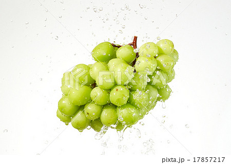 シャインマスカット シズル感 シャインマスカット シズル感 17857217