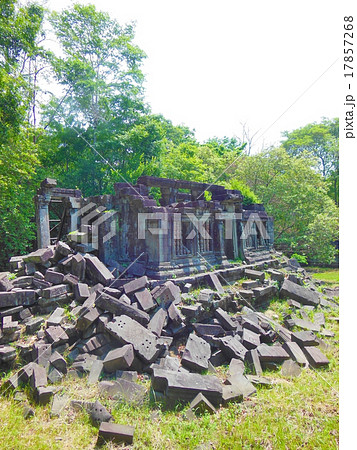 ベンメリア 17857268