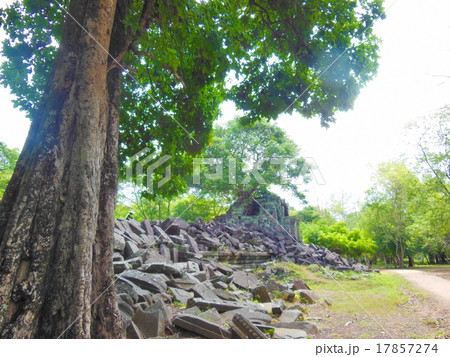 ベンメリア 17857274