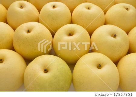 二十世紀梨 17857351