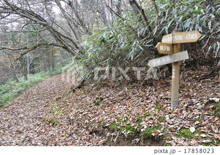 鶏冠山の六本木峠 17858023