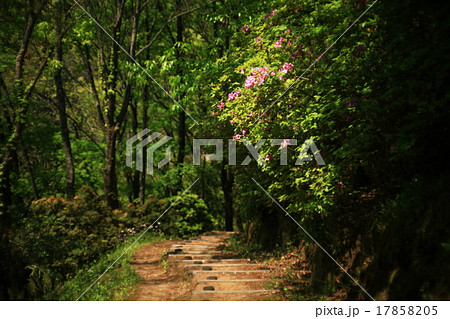 山道 山道 17858205