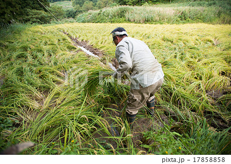 農作業者 17858858