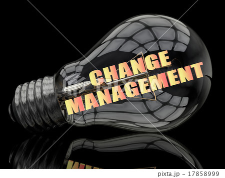 Change Management 17858999