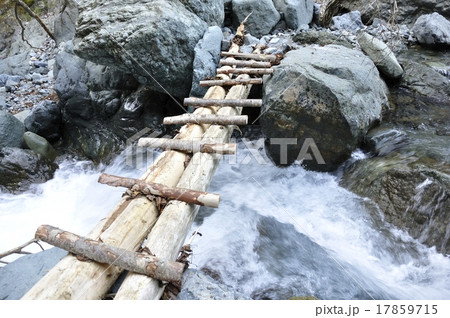 渓流に架かる木橋 17859715