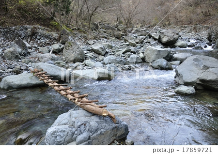 渓流に架かる木橋 17859721
