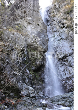 日本の滝百選 早戸大滝 日本の滝百選 早戸大滝 17859737