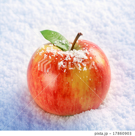 Apple in snow 17860903