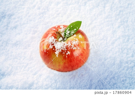 Apple in snow 17860904