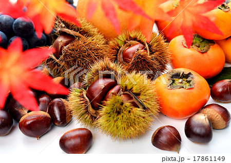 秋の味覚イメージ 栗と柿と葡萄と紅葉 の写真素材