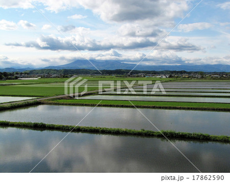 栃木県さくら市・高原山と春の田んぼ 栃木県さくら市・高原山と春の田んぼ 17862590