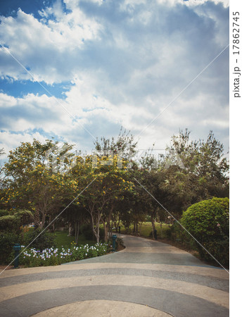 Alley in the park, the clouds Alley in the park, the clouds 17862745