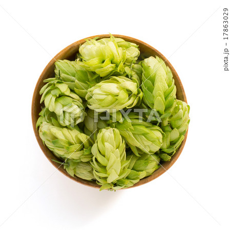 bowl full of hop cones on white 17863029