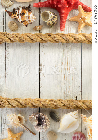 seashell on wooden background seashell on wooden background 17863065