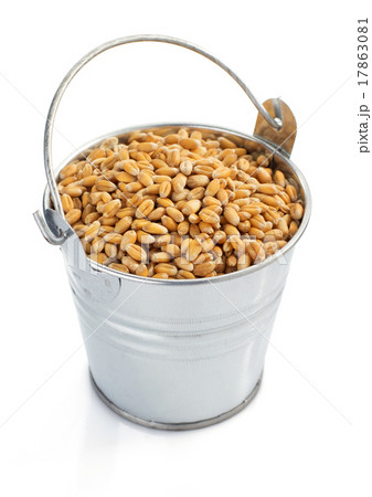 wheat grain in bucket isolated on white wheat grain in bucket isolated on white 17863081