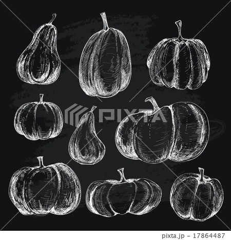 Pumkins 17864487