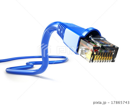 LAN network connection Ethernet RJ45 cable. 17865743