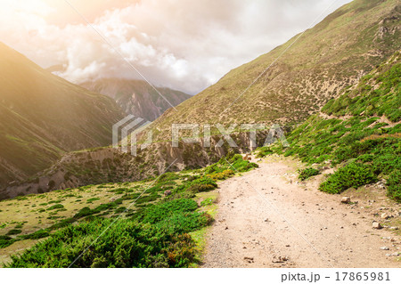rural road in mountains rural road in mountains 17865981