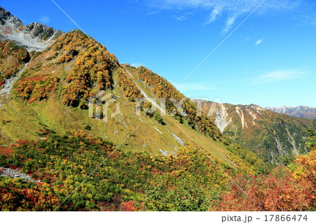 涸沢カールの紅葉 17866474