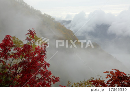 屏風岩の紅葉 17866530