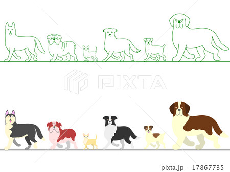 犬 一列 種類 歩く セット 犬 一列 種類 歩く セット 17867735
