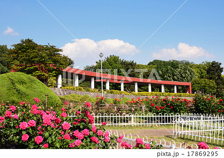 服部緑地公園 17869295