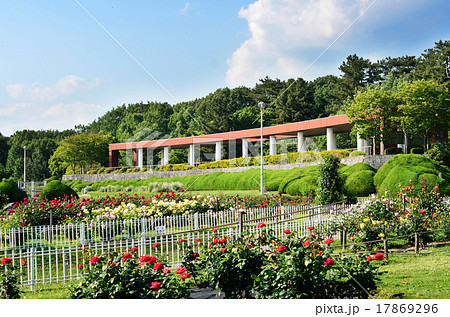 服部緑地公園 17869296