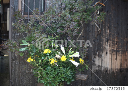 花瓶 17870516