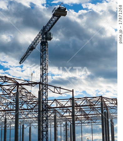 Building framework and tower crane 17871268