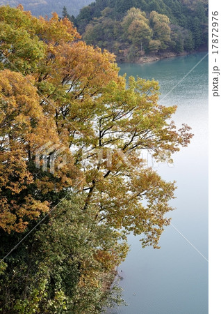 湖畔の紅葉 湖畔の紅葉 17872976