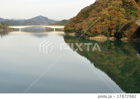 紅葉の宮ヶ瀬やまびこ大橋 17872982