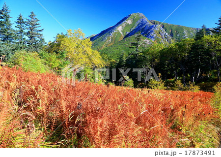草紅葉と常念岳 草紅葉と常念岳 17873491