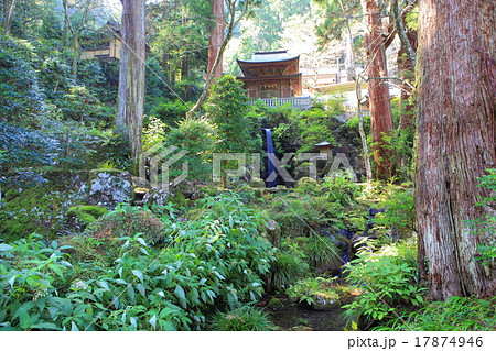 大雄山最乗寺　不動堂と洗心の滝 17874946