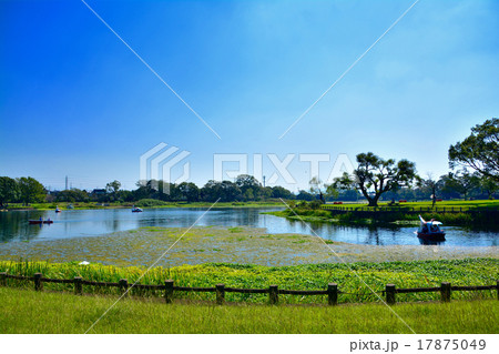 熊本　水前寺江津湖公園 17875049
