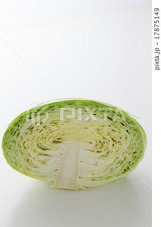 キャベツ 17875149