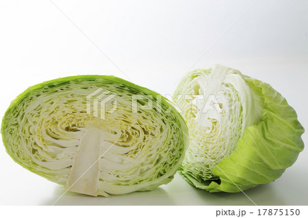 キャベツ 17875150