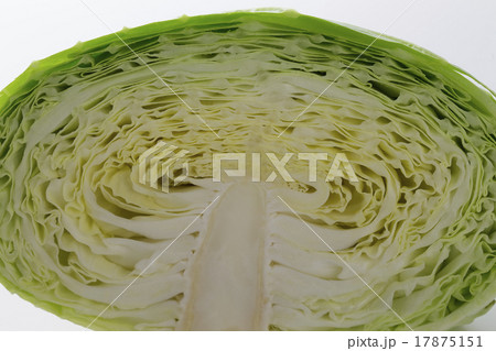 キャベツ 17875151