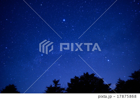 夏の大三角 17875868