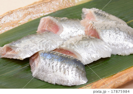 おいしい真いわし 17875984