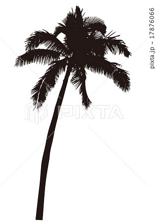 ヤシの木 椰子の木 シルエット 南国イメージ 03のイラスト素材