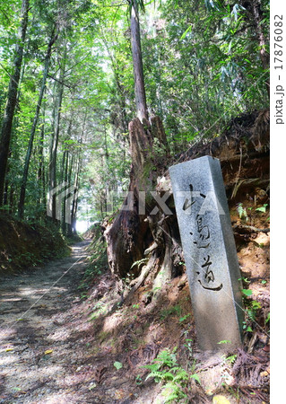 奈良　山の辺の道 17876082