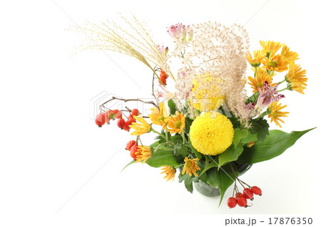 ススキとピンポン菊とホトトギスとスズバラのアレンジ 横 の写真素材