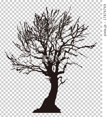 枯れ木 樹木 デッドツリー シルエット 01のイラスト素材