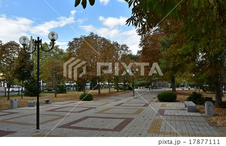 Autumn Autumn 17877111