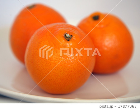 Tangerines on white background Tangerines on white background 17877365